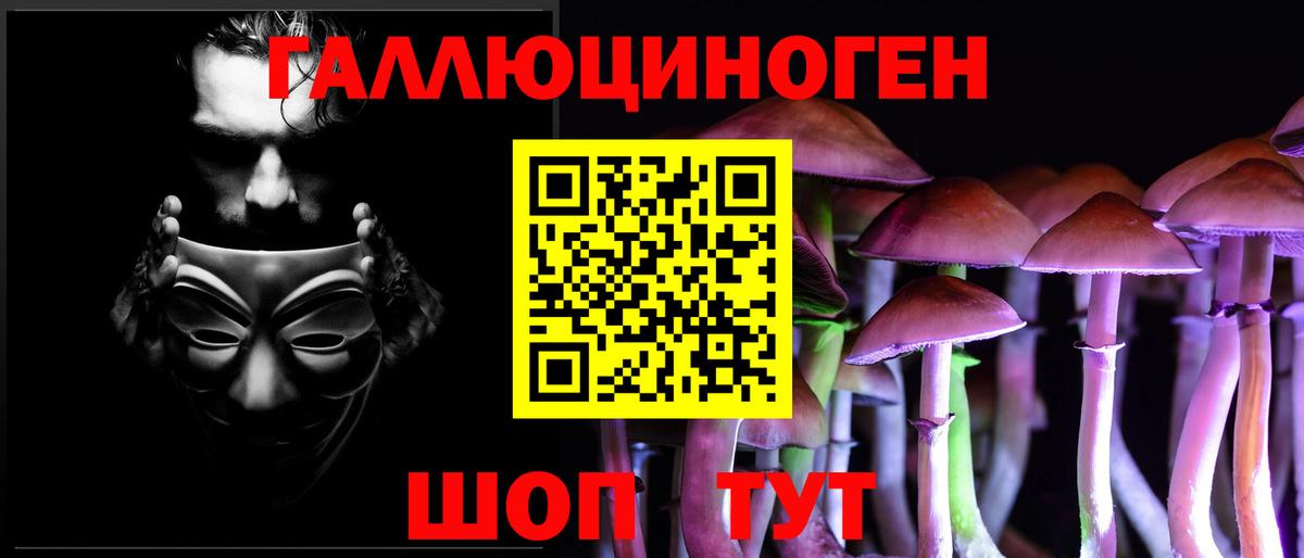Черногорск  Галлюциногенные грибы GOLDEN TEACHER  сколько стоит  Вход с VPN 